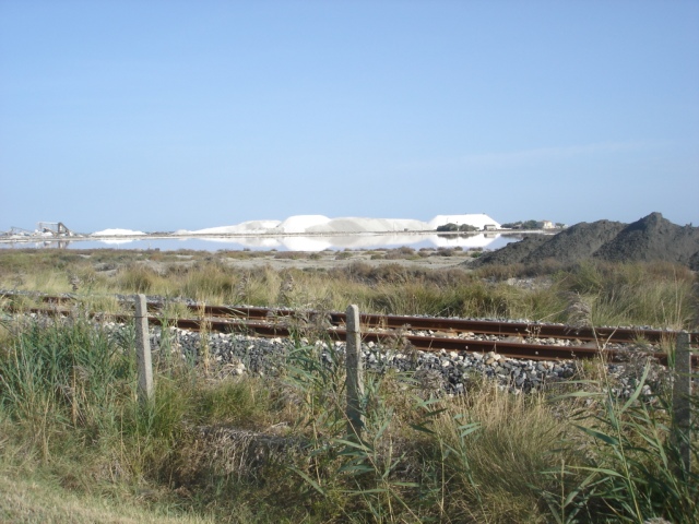 la camargue et ses salins