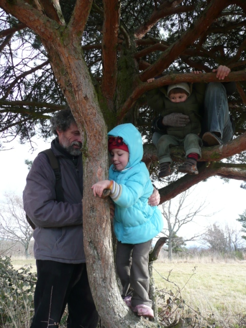 arbre généalogique