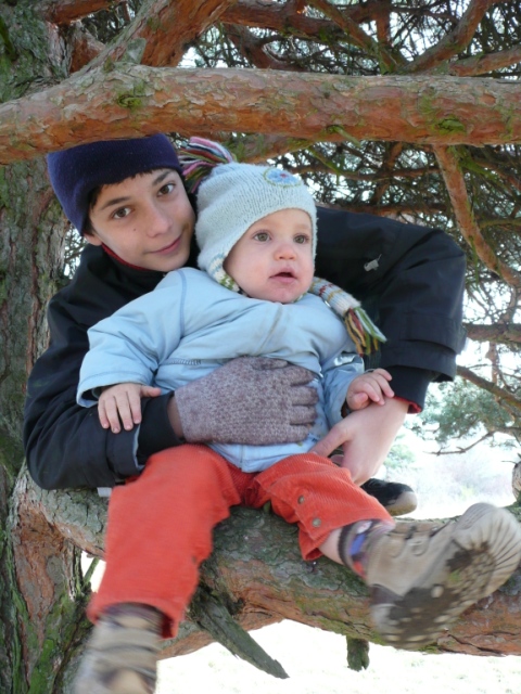 pierre et martin dans l'arbre