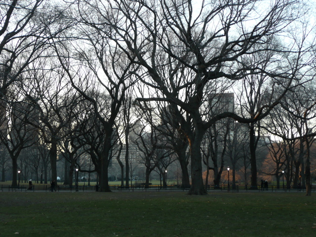 central park