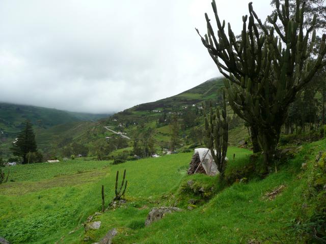 paysage autour d´alausì