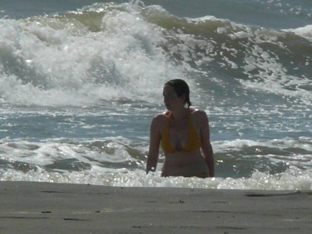 paparazi