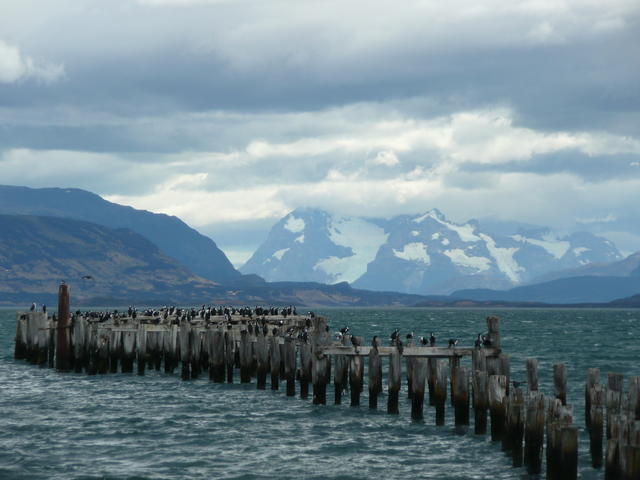 dans la baie de puerto natales