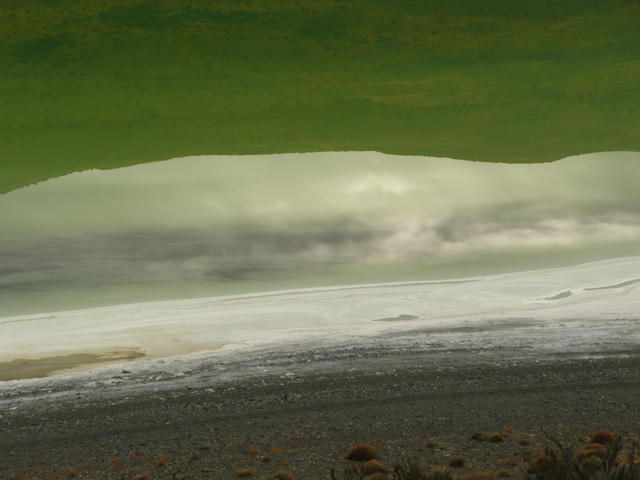 reflets verts