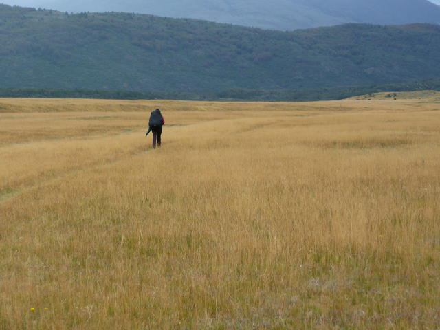 en marche