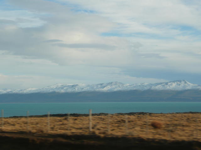 lac argentino