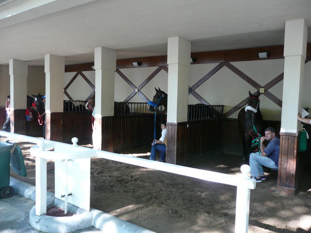 boxs de préparation