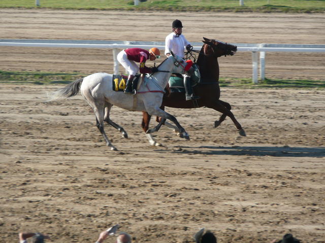 premier galop