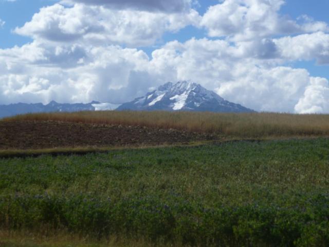 neiges éternelles