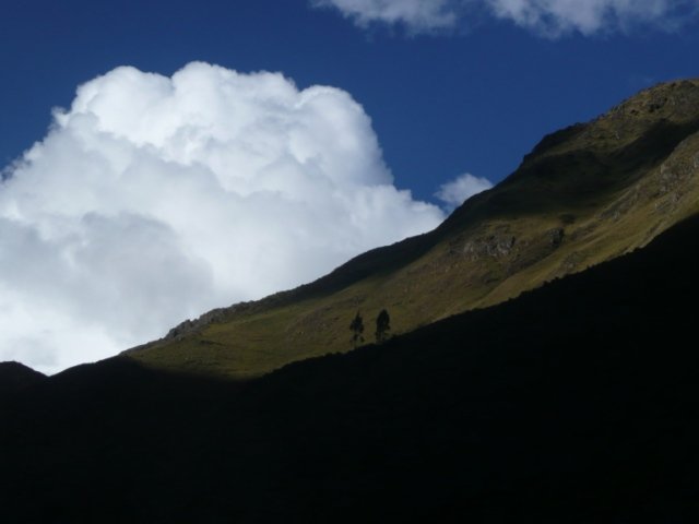 jeux d'ombres