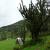 paysage autour d´alausì