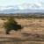 steppe et montagne